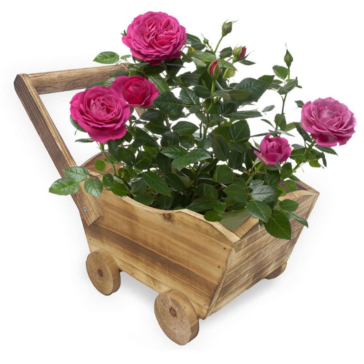 Home Decor Trend 2026 - 2026 Trend Cartoon Car Flower Pot