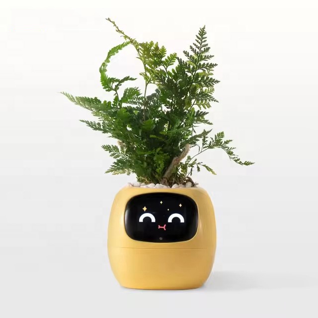 YY Wifi Ai Planter Watering Re - Home Decor Ai Free 评论和价格