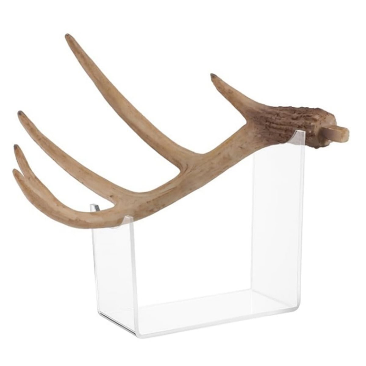 2026 Trend Horn Mount, Four Pi - Home Decor Trend 2026 评论和价格